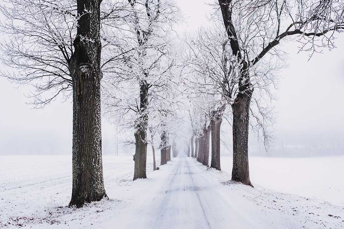 Blog/vapoter_en_hiver.jpg